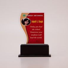 SCHOOL AWARD