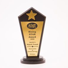 RISING  STAR - WOODEN