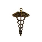 CHARM-010